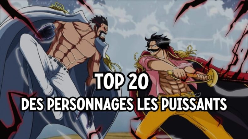 Personnage Le Plus Puissant De One Piece