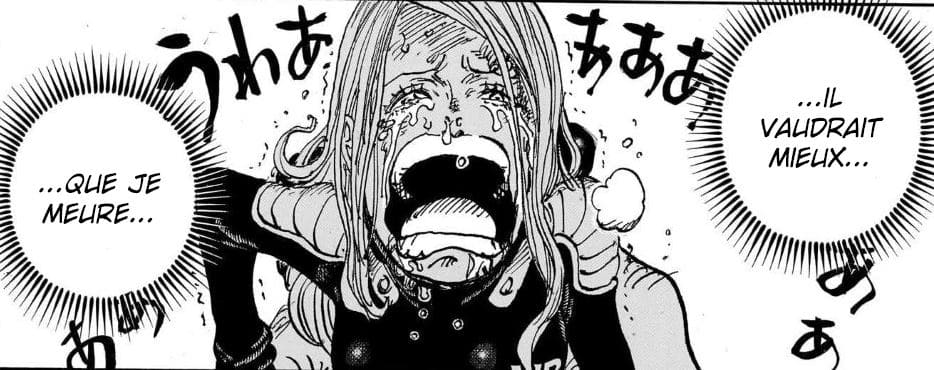 One Piece Scan 1103 : Résumé, Spoilers & Avis